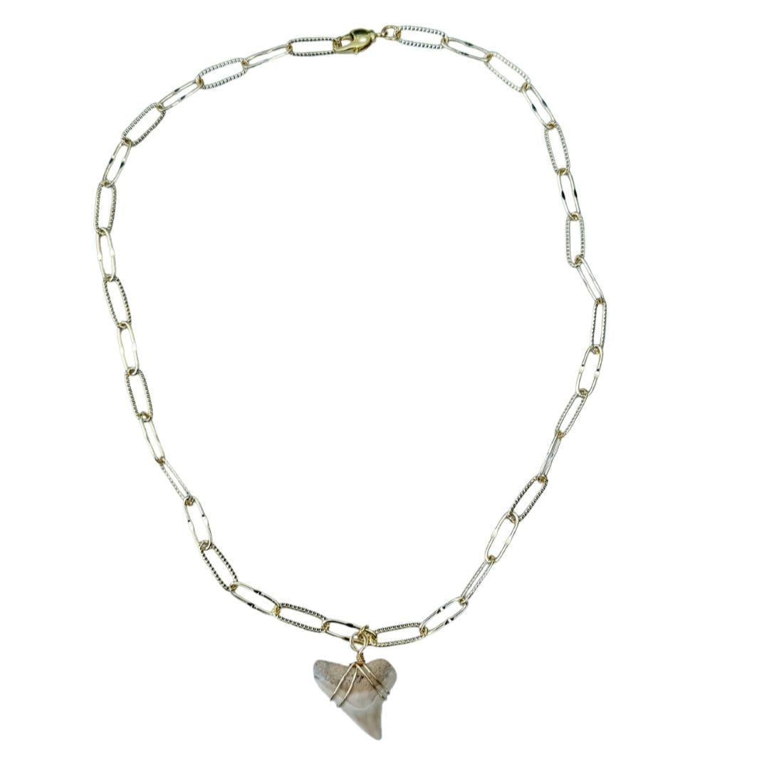 Shark Tooth Necklace