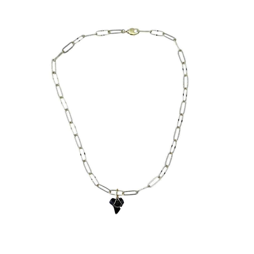 Shark Tooth Necklace