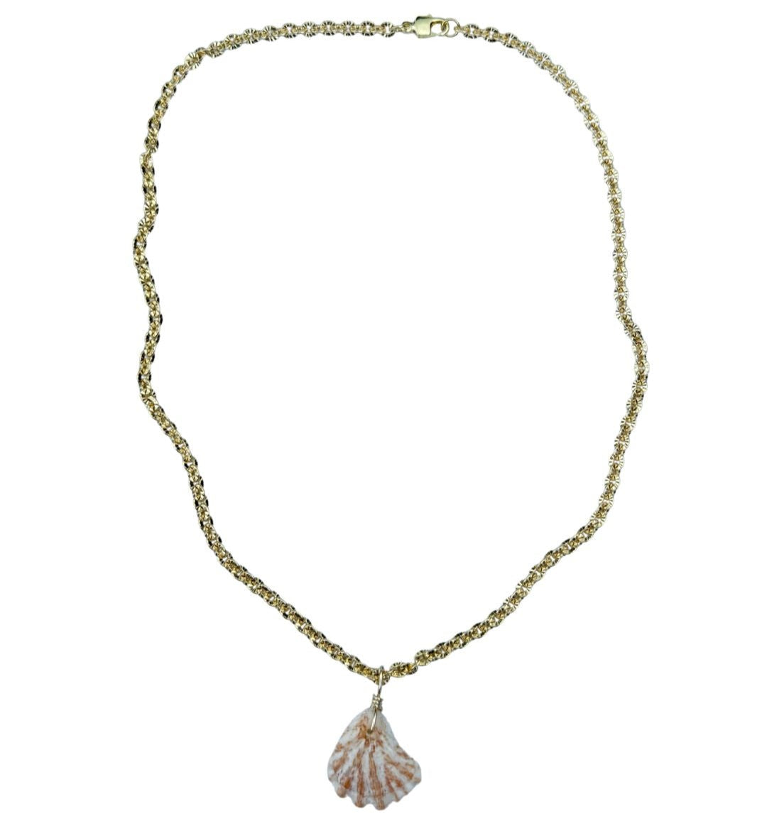 Shark Tooth Necklace
