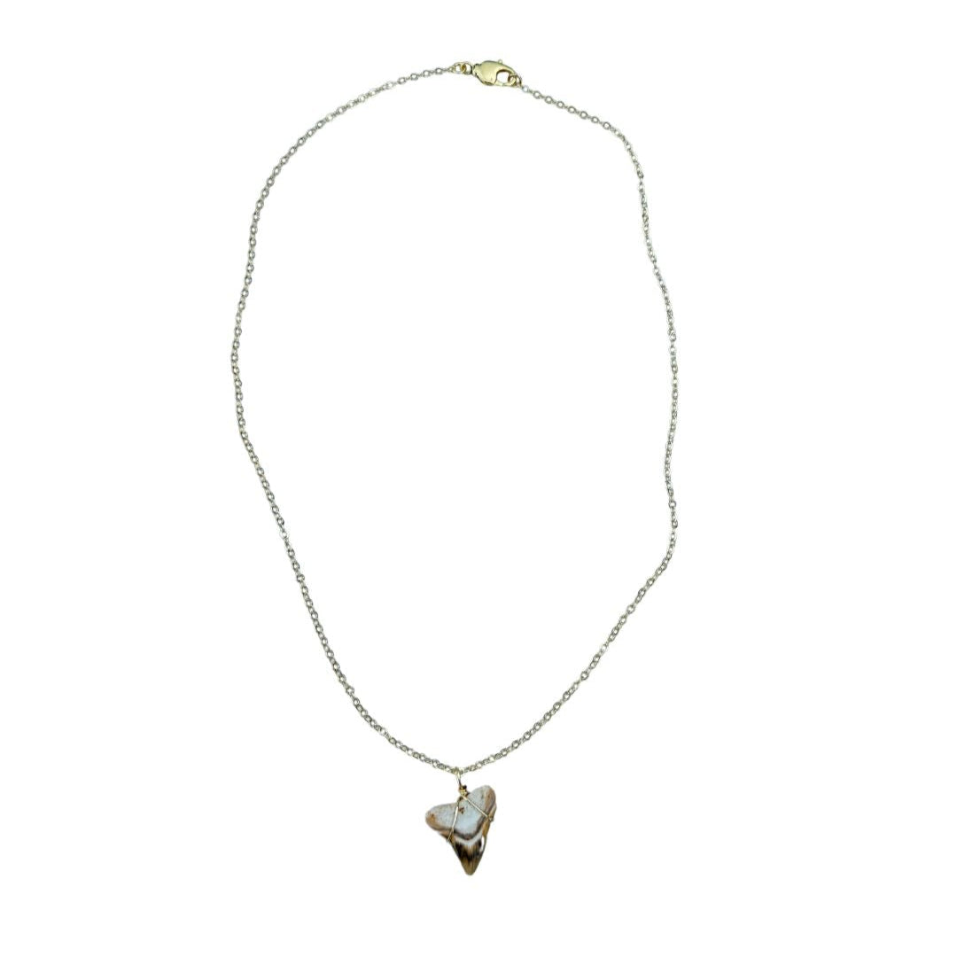 Shark Tooth Necklace