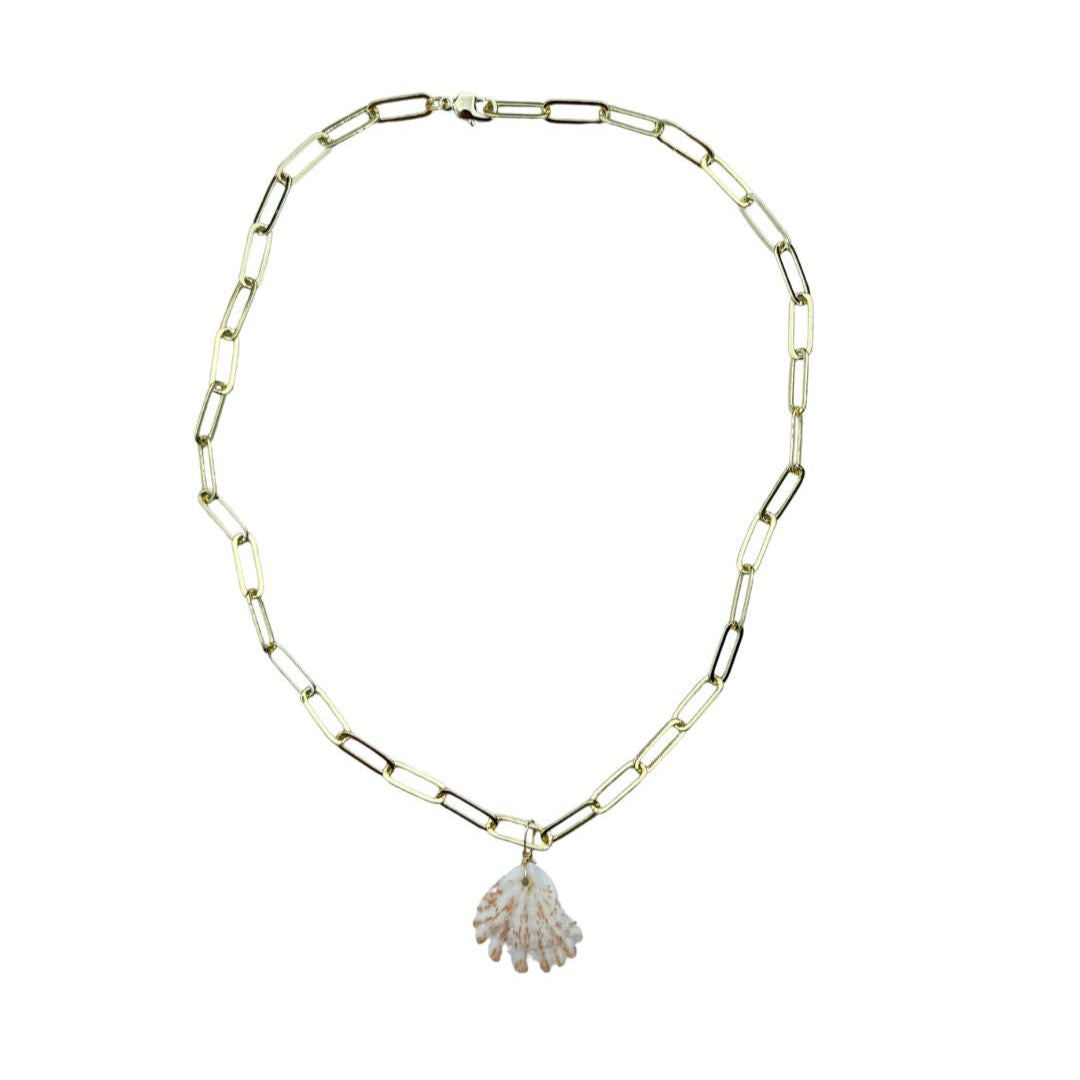 Seashell Necklace