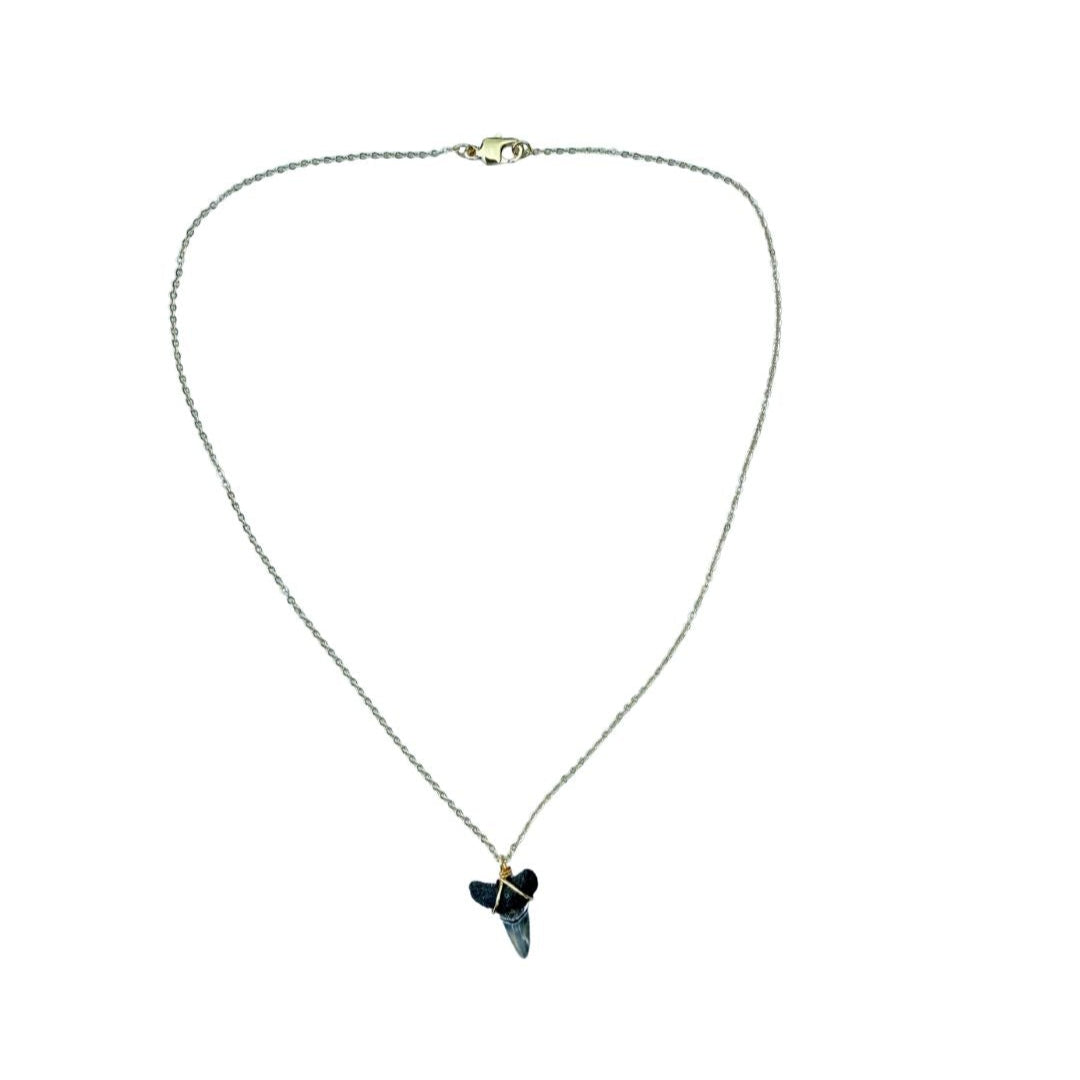 Shark Tooth Necklace