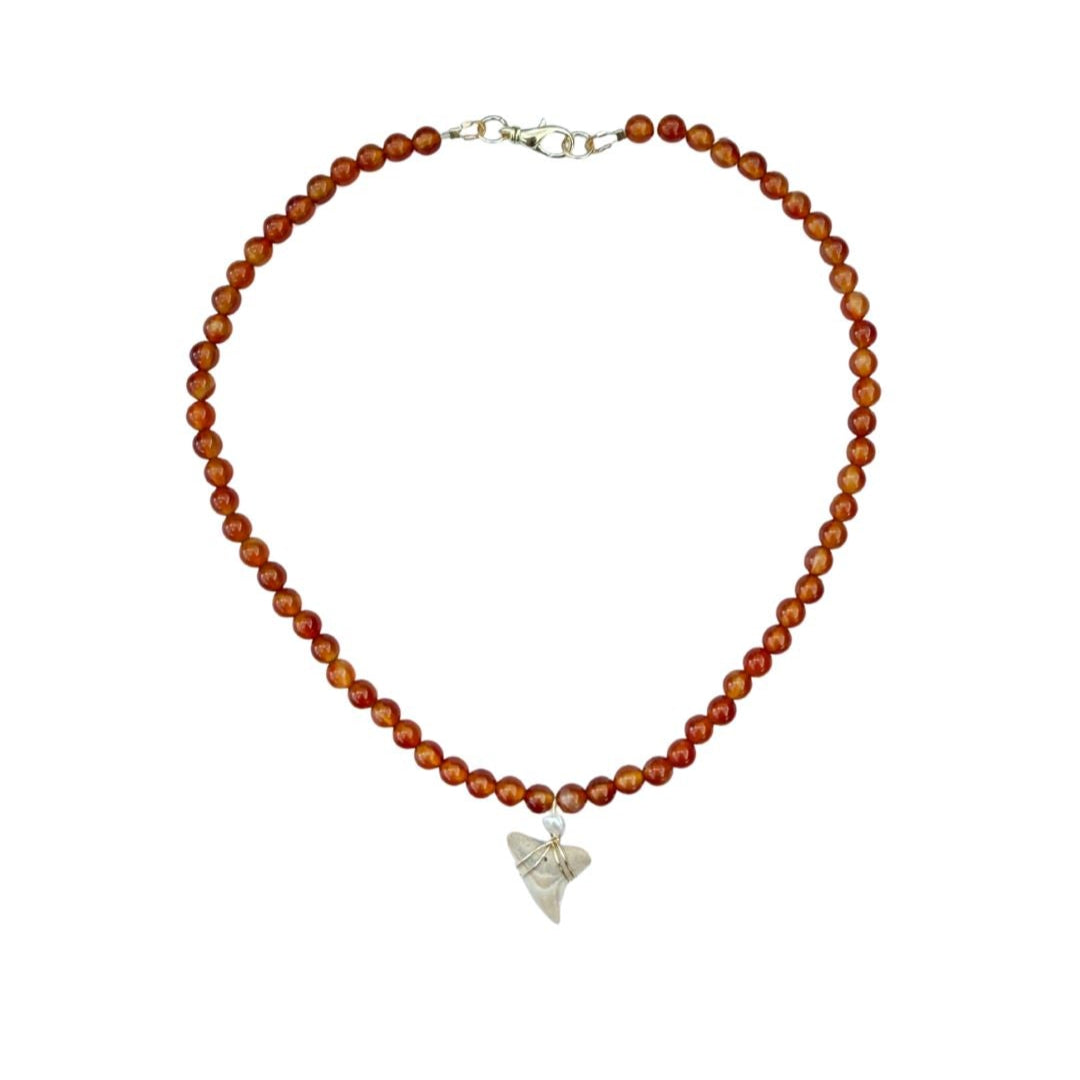 Shark Tooth Necklace
