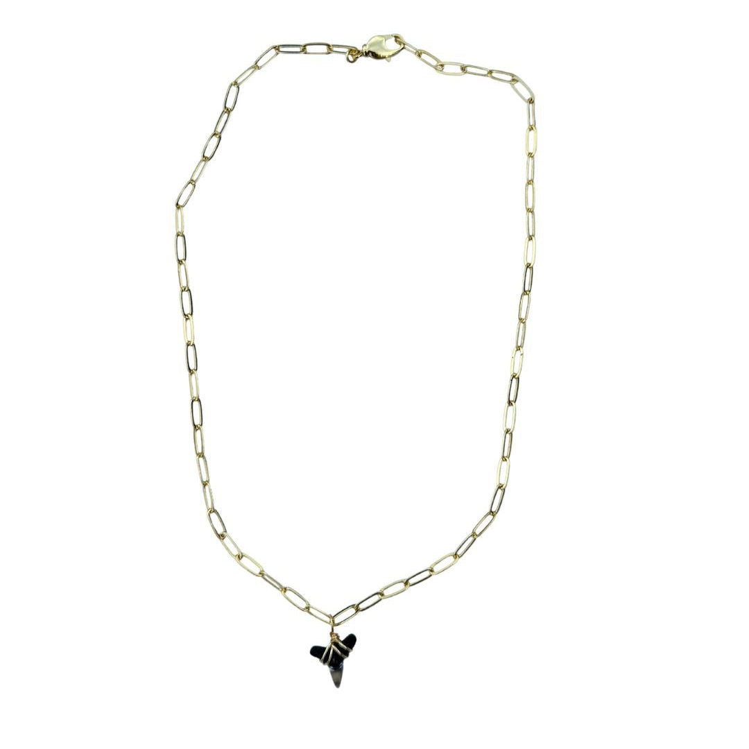 Shark Tooth Necklace