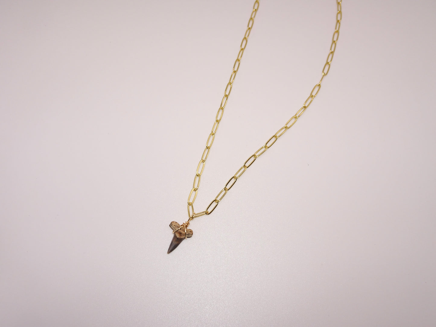 Shark tooth necklace