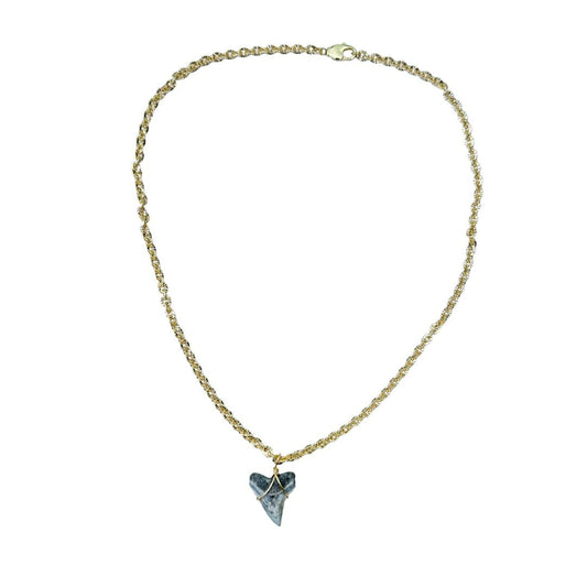 Shark Tooth Necklace