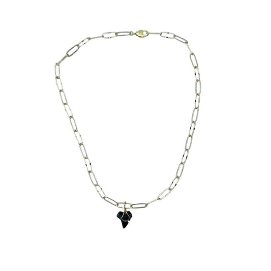 Shark Tooth Necklace