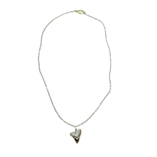 Shark Tooth Necklace