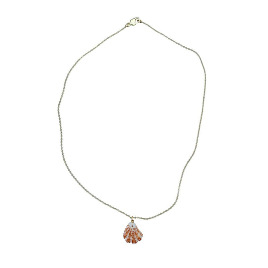 Seashell Necklace