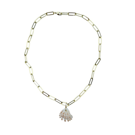 Seashell Necklace