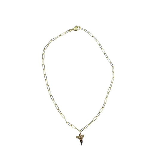 Shark Tooth Necklace