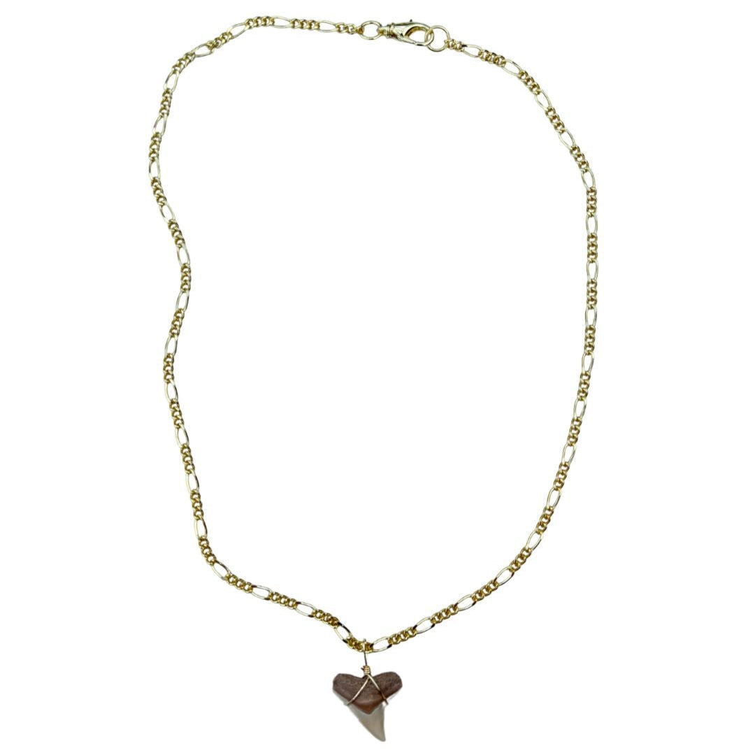 Shark Tooth Necklace