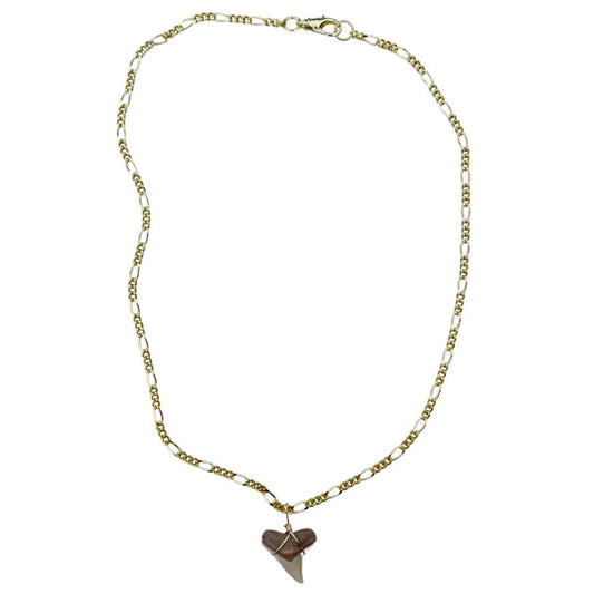 Shark Tooth Necklace