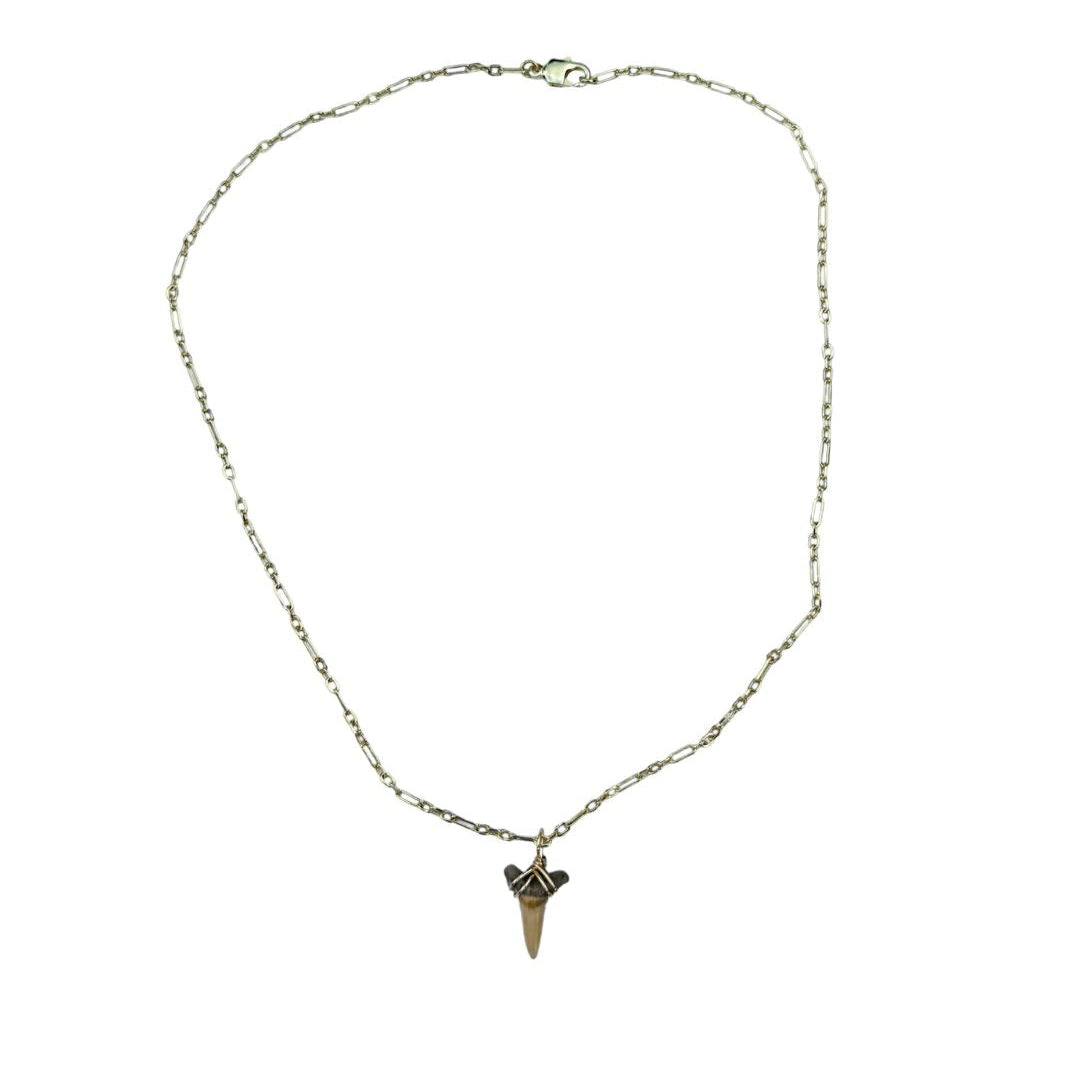 Shark Tooth Necklace
