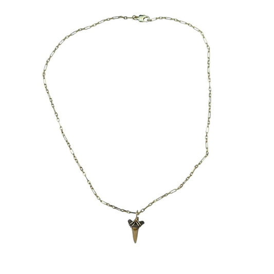 Shark Tooth Necklace