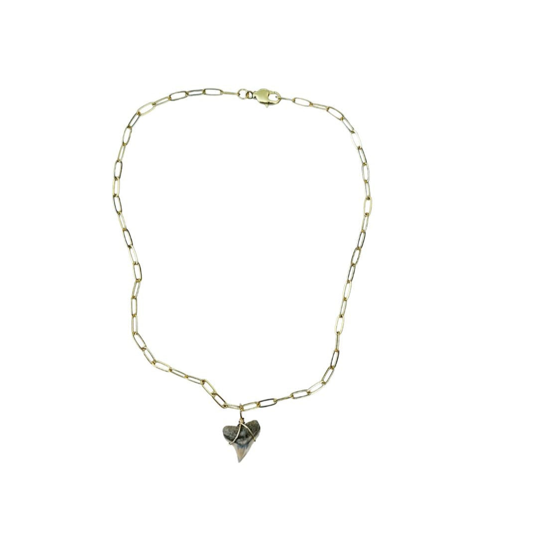 Shark Tooth Necklace