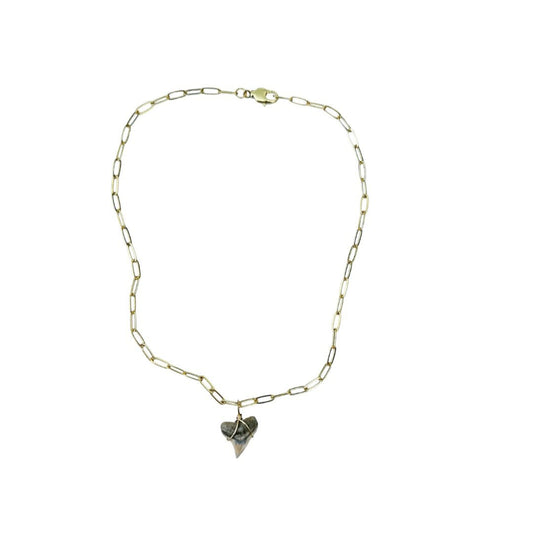 Shark Tooth Necklace