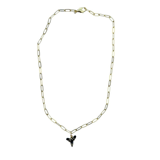 Shark Tooth Necklace