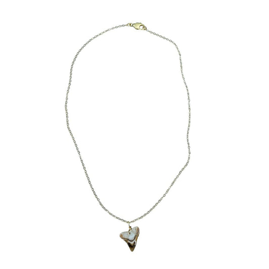 Shark Tooth Necklace